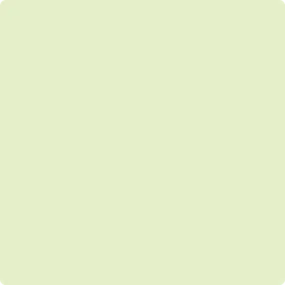 2031-60 Neon Celery