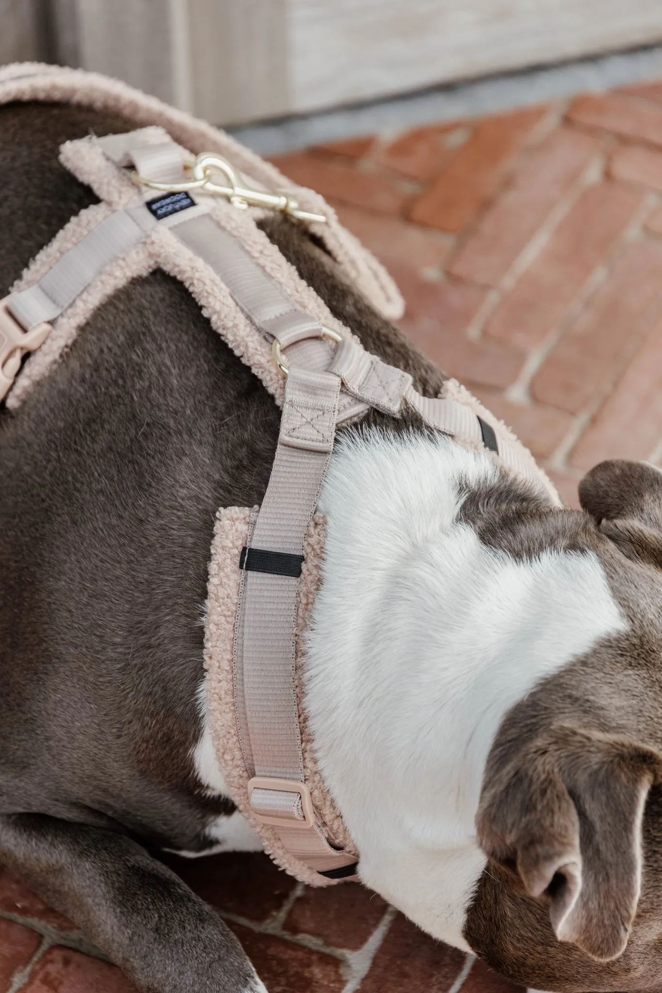 Dog Harness Active Teddy Fleece