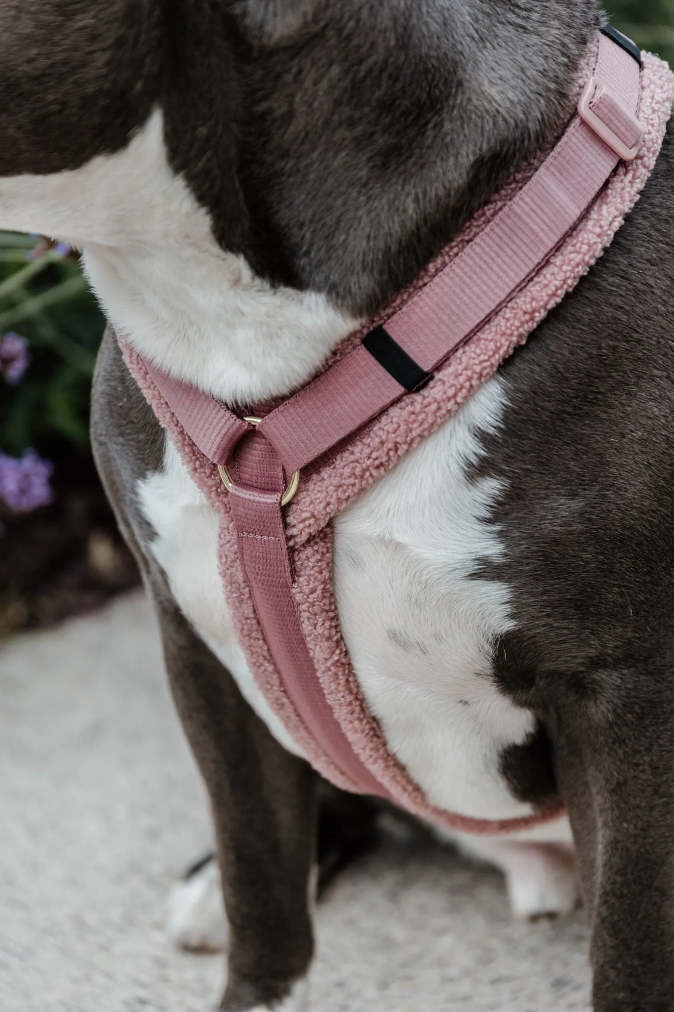 Dog Harness Active Teddy Fleece