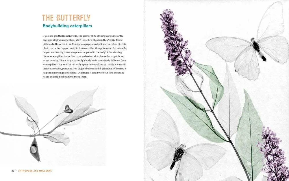 Inside In: X-Rays of Nature's Hidden World