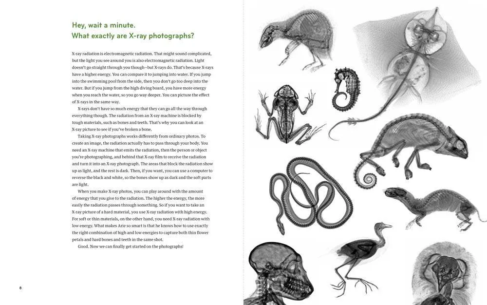 Inside In: X-Rays of Nature's Hidden World