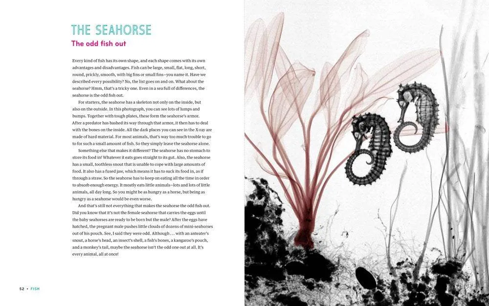 Inside In: X-Rays of Nature's Hidden World