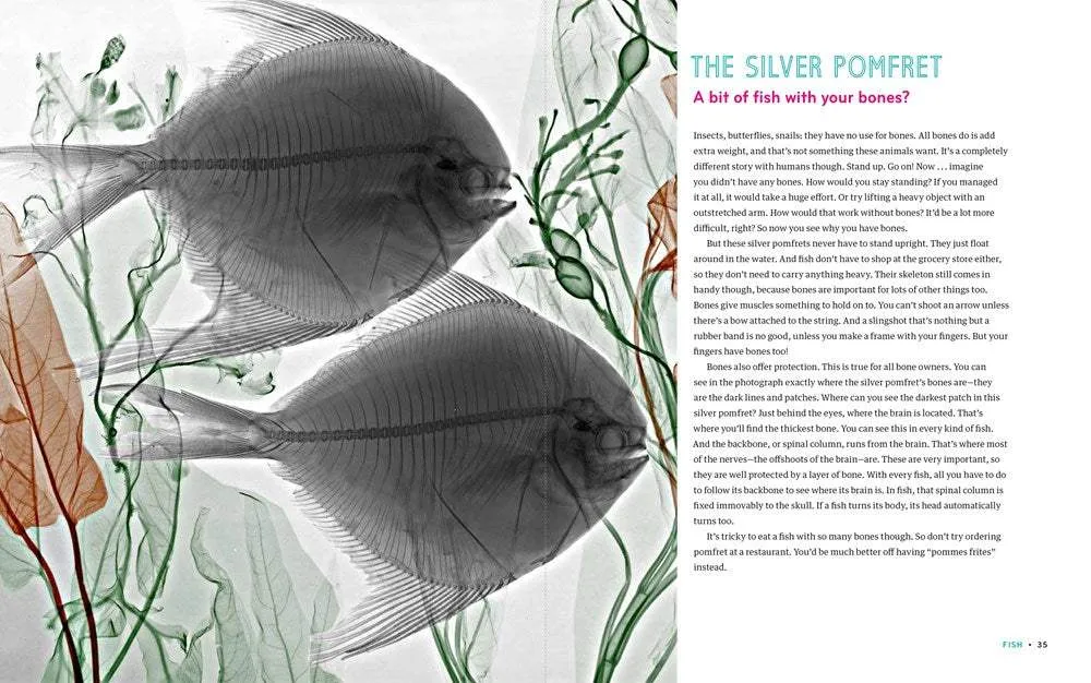 Inside In: X-Rays of Nature's Hidden World