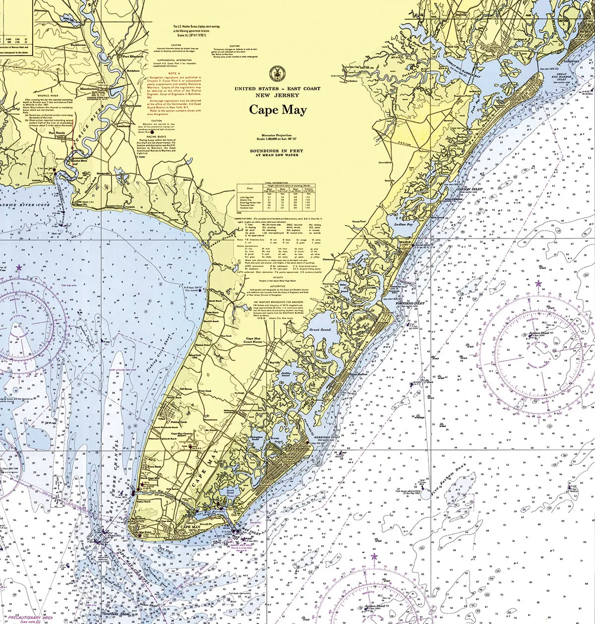 Ocean City to Cape May, NJ Chart Shower Curtain