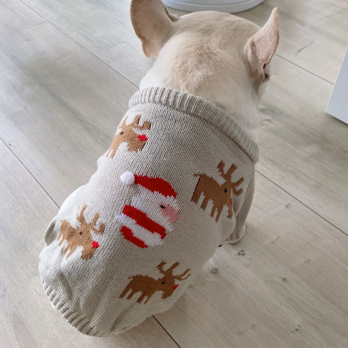 Trendy Christmas Print Warm Sweater for French Bulldog