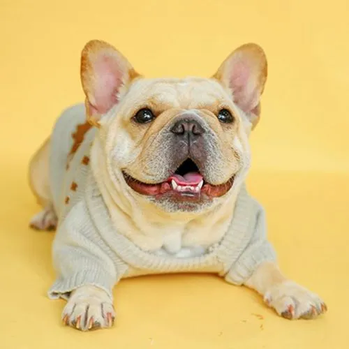 Trendy Christmas Print Warm Sweater for French Bulldog